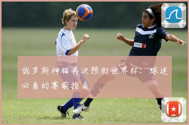 俄罗斯神猫再次预测世界杯：球迷必看的赛前指南
