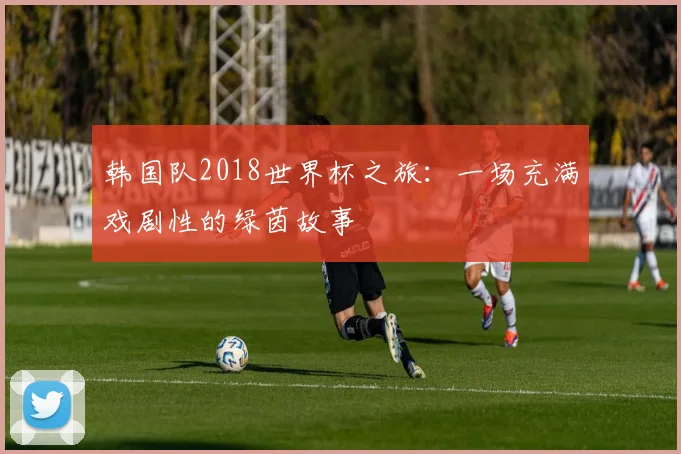 韩国队2018世界杯之旅：一场充满戏剧性的绿茵故事